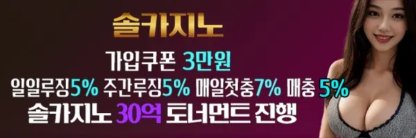 카지노보증사이트가 검증하는 솔카지노입니다